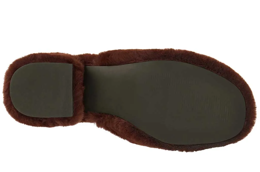 Coconuts by Matisse Women's Teddy